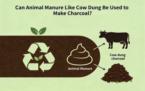 Can Animal Manure Like Cow Dung Be Used to Make Charcoal?