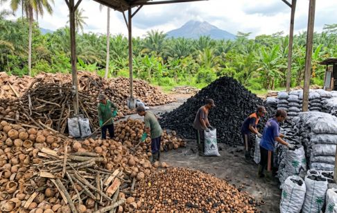 Why Is It Profitable To Install Charcoal Making Machine In Indonesia?