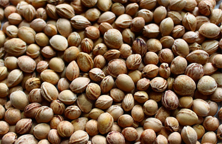 Food Processing Waste