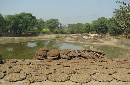 Other Biomass Materials