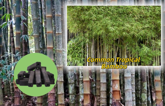 mesin pirolisis biochar bambu