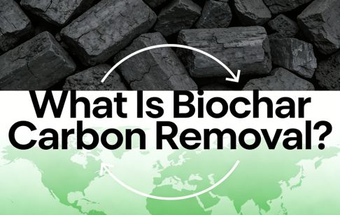 Qu’est-ce que l’élimination du carbone au biochar ?