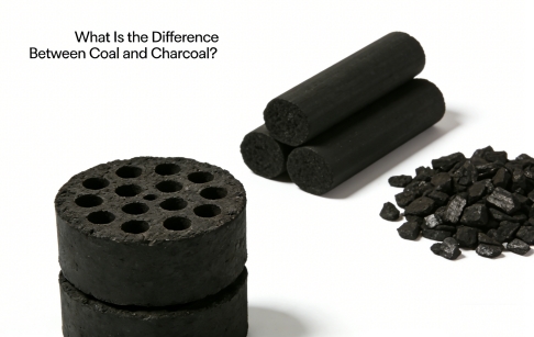 What Is the Difference Between Coal and Charcoal?