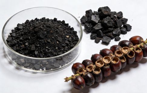 How to deal with the empty fruit bunches produced after palm fruit is processed into oil?