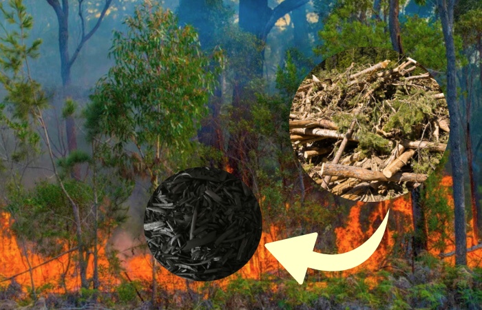 biomass pyrolysis carbonization equipment