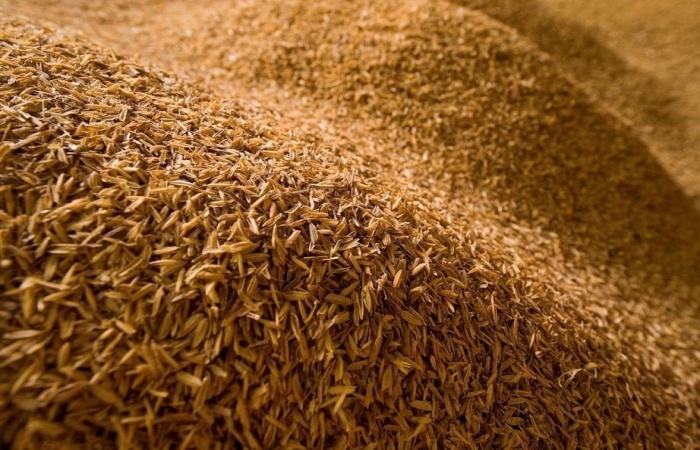 rice husk for making biochar