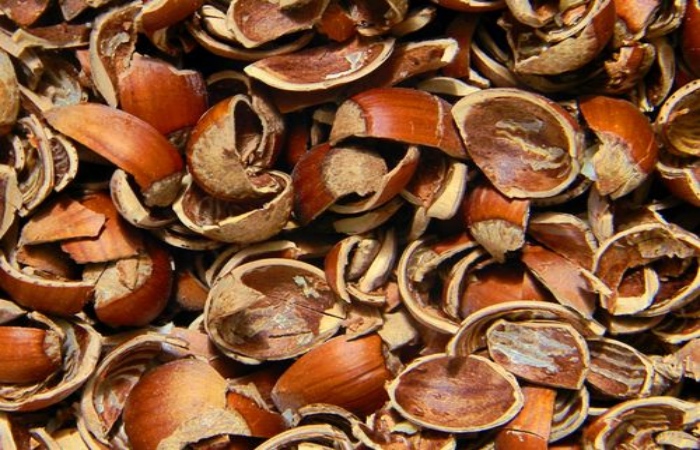 Palm kernel shells for biochar production