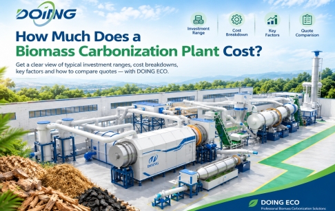 How much does a biomass carbonization plant cost?