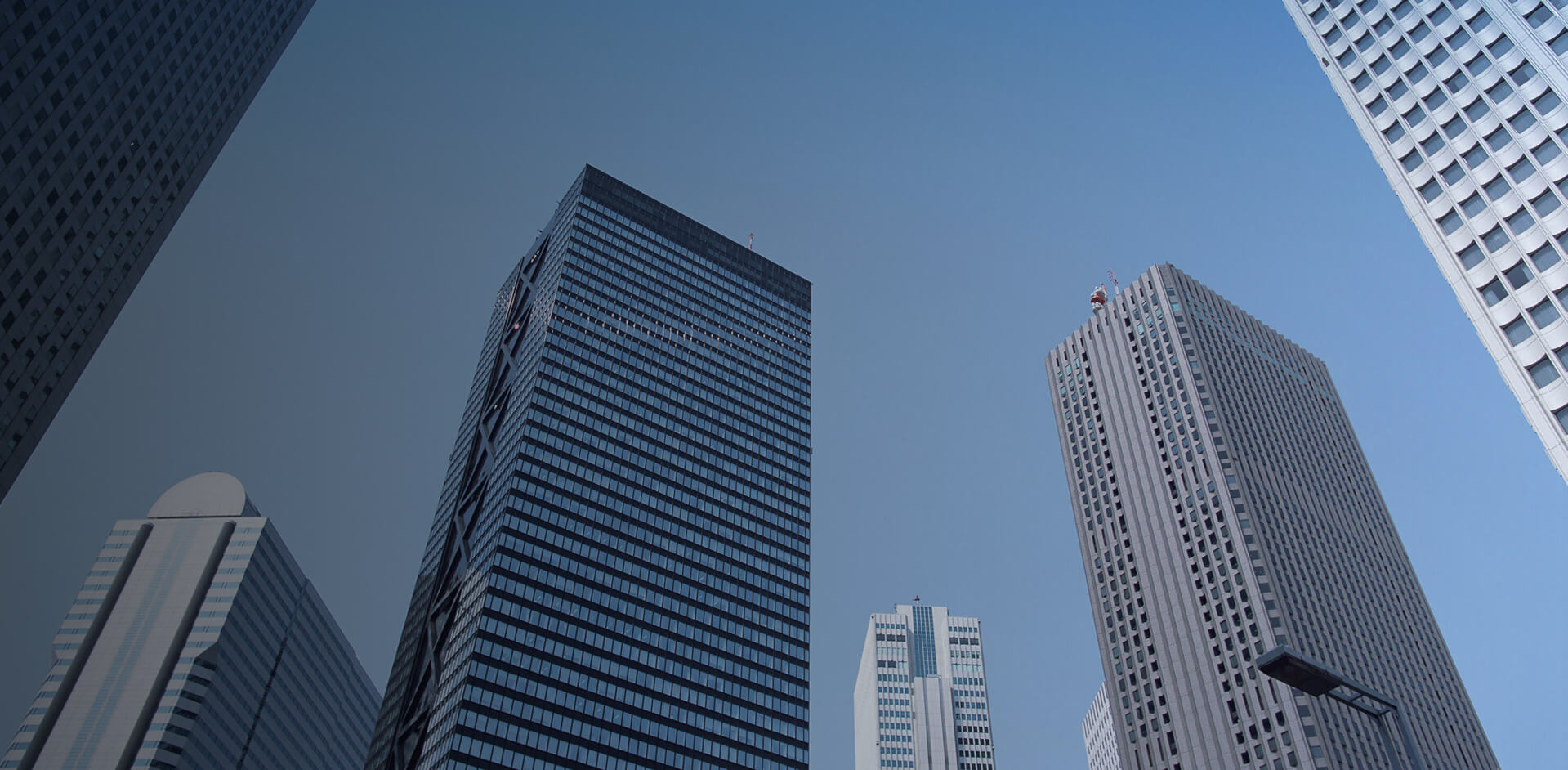 Charcoal Making Machine Manufacturer